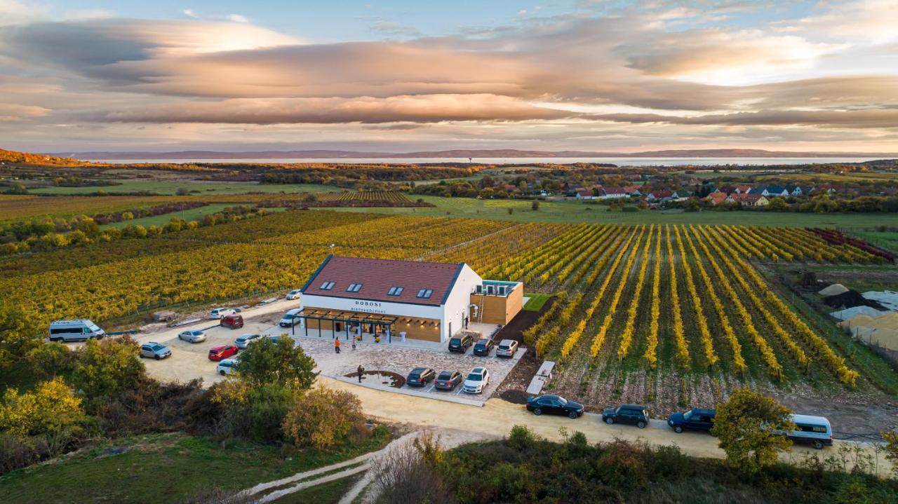 Dobosi Birtokkoezpont Bed & Breakfast Szentantalfa Exterior foto